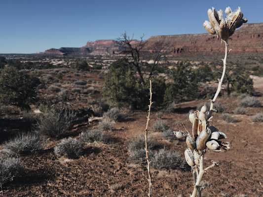 Ana Zirner Colorado River