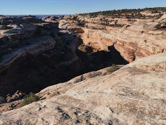 Ana Zirner Colorado River
