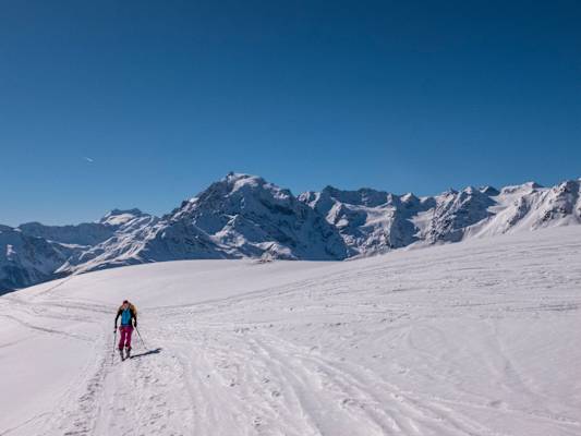 Pulver- & Firntraum im Vinschgau