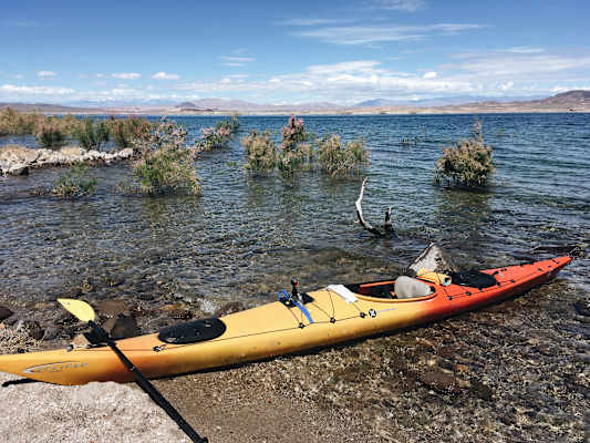Ana Zirner Colorado River