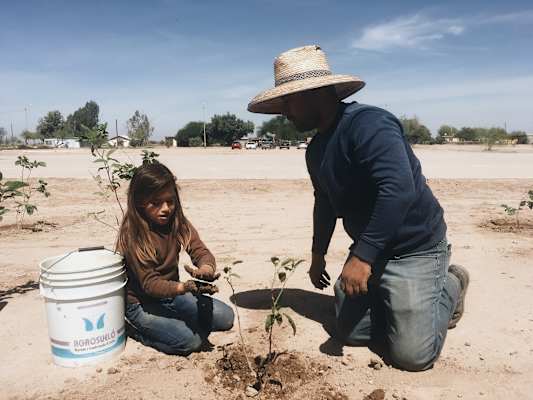 Ana Zirner Colorado River