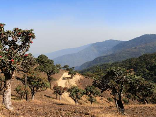 Myanmar Wandern Mt. Victoria