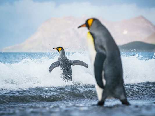 Polarmeer Fotostrecke