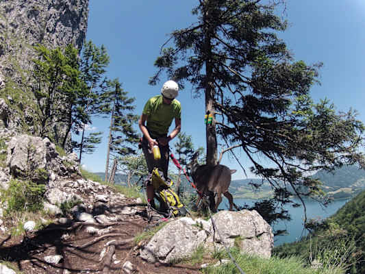 Drachenwand Klettersteig Mondsee