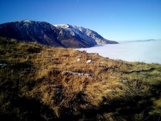 Nordseite des Schneebergs