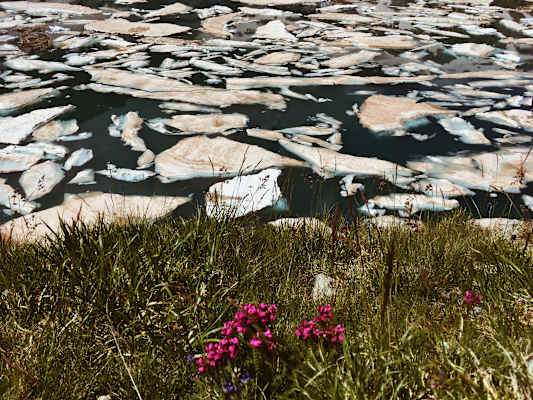 Ana Zirner Pyrenäen