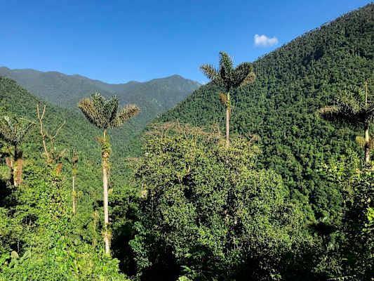 Kolumbien Trekking Ciudad Perdida