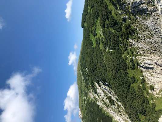 Hoher Nock Hochplateau