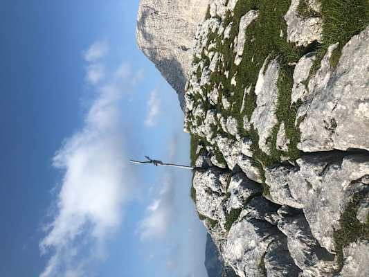 Gipfelkreuz am Toten Mann