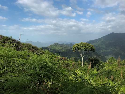 Kolumbien Trekking Ciudad Perdida