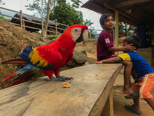 Kolumbien Trekking Ciudad Perdida