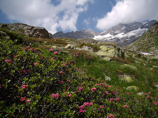 Der Hochgebirgsnaturpark Zillertaler Alpen ist Herzstück des Bergsteigerdorfes Ginzling
