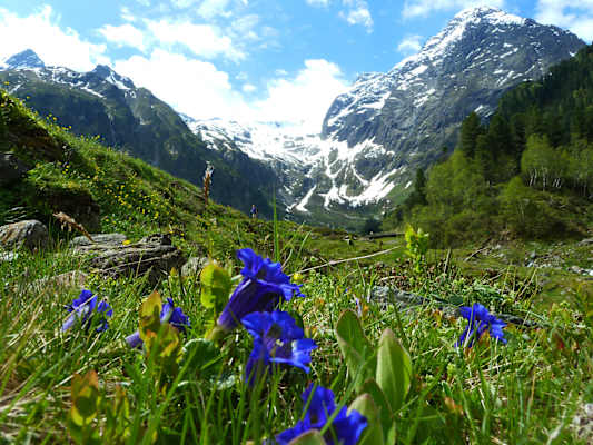 Der Talschluss von Lüsens mit dem Lüsener Fernerkogel – Bergsteigerdorf Sellraintal