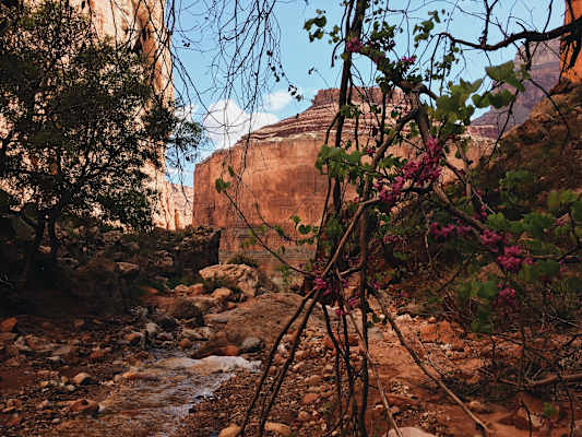Ana Zirner Colorado Grand Canyon