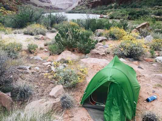 Ana Zirner Colorado Grand Canyon