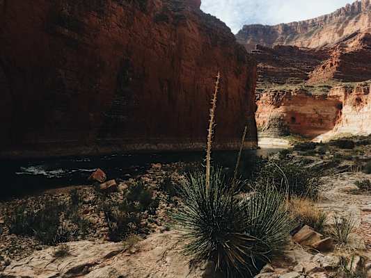 Ana Zirner Colorado Grand Canyon