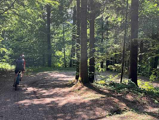 Gravelbiken Kärnten Wörthersee