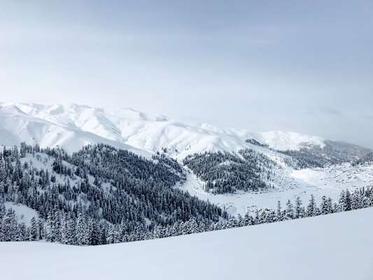 Reise Freeriden Georgien Bakhmaro