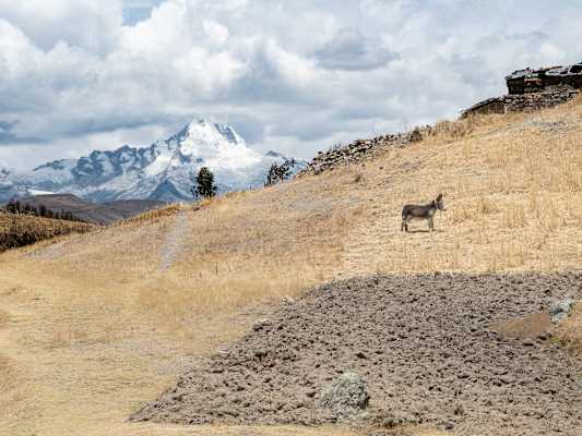 Reise Peru Anden