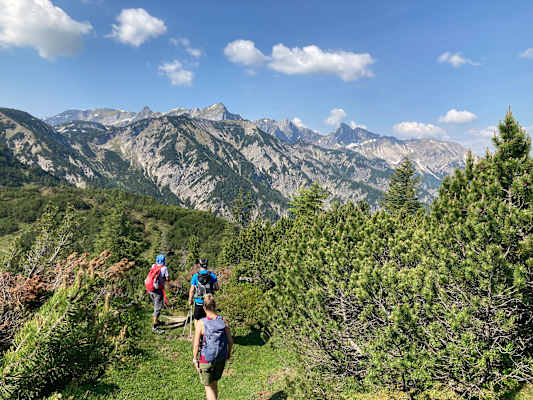 Latschen am Zireiner See