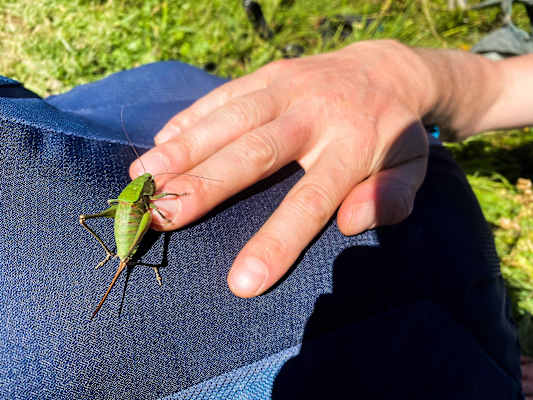 Ana Zirner Kaukasus Swanetien