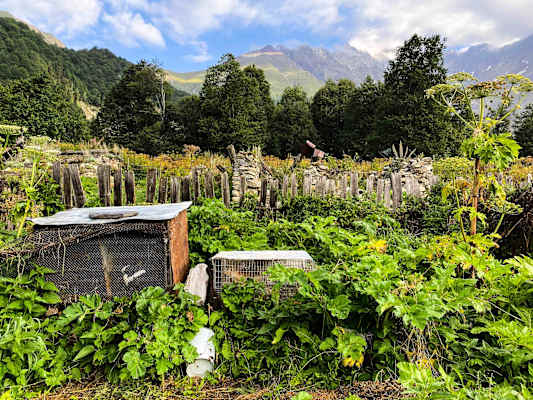 Ana Zirner im Kaukasus: Rauhes Racha – Im Wilden Westen Georgiens