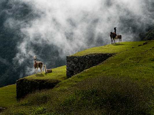 Machu Picchu Peru Reise