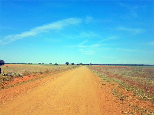 Nikolas Haugeneder Jakobsweg