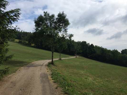 Wandern zum Peilsteinhaus mit Kindern