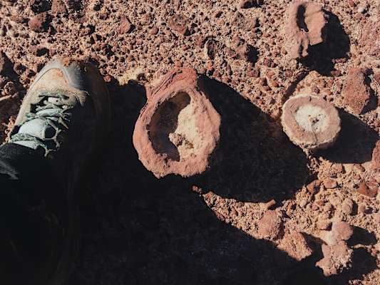 Ana Zirner Colorado River