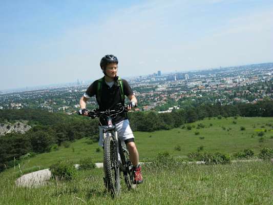 Auf der Perchtoldsdorfer Heide