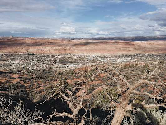 Ana Zirner Colorado River