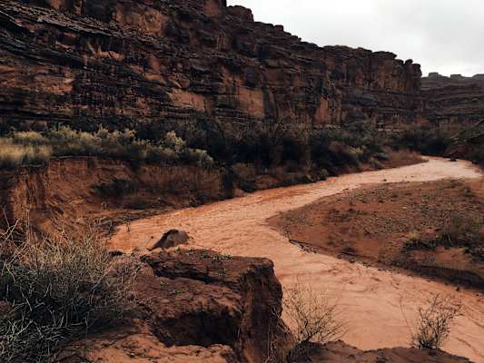 Ana Zirner Colorado River