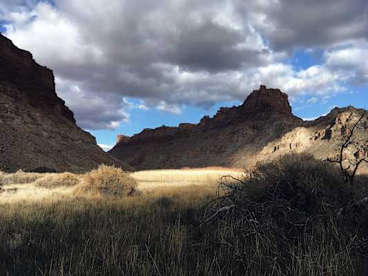 Ana Zirner Colorado River