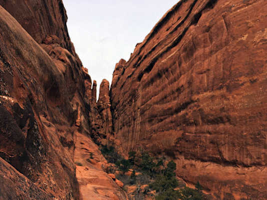 Ana Zirner Colorado River