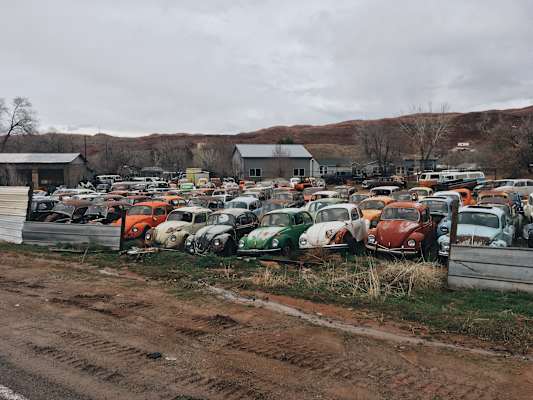 Ana Zirner Colorado River