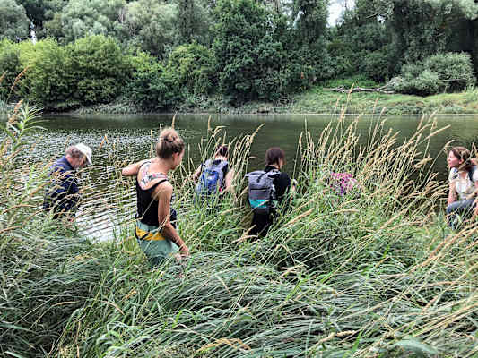 Nationalpark Donau-Auen