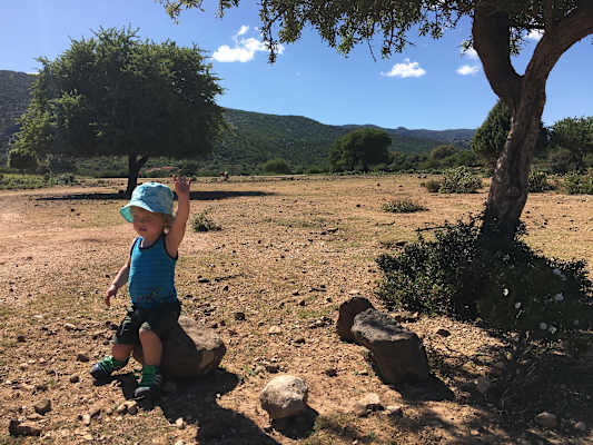 Campingreise mit Kindern VW California