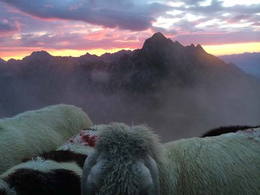 Morgenglühen auf der Nordkette 
