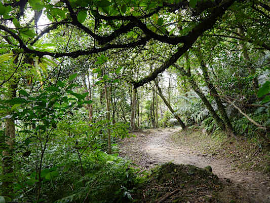 Taiwan Sandiaoling Waterfall Trail Martin Foszczynski