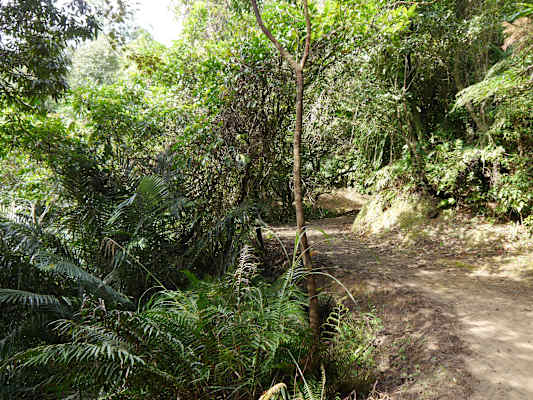 Taiwan Sandiaoling Waterfall Trail Martin Foszczynski