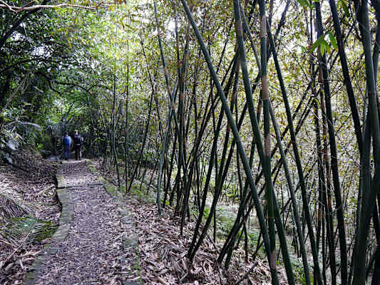Taiwan Sandiaoling Waterfall Trail Martin Foszczynski