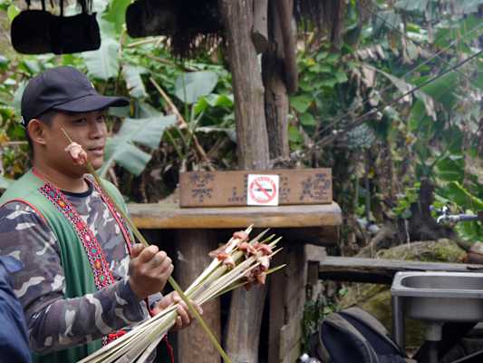 Luan Shan Forest Museum Taiwan Blog Martin Foszczynski