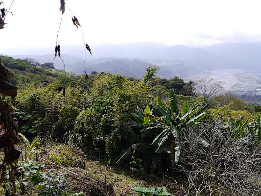Luan Shan Forest Museum Taiwan Blog Martin Foszczynski