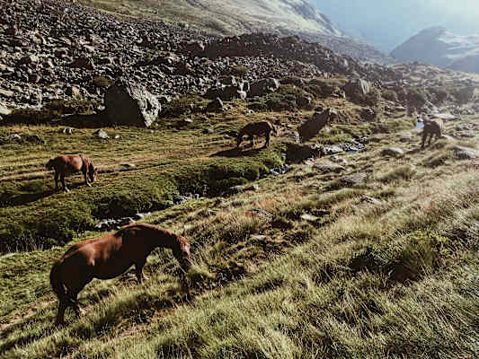 Ana Zirner Pyrenäen