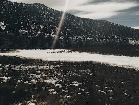 Ana Zirner Colorado River