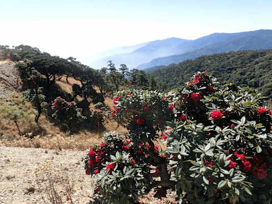 Myanmar Wandern Mt. Victoria
