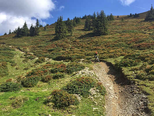Herbststimmung am Hackelberg Trail