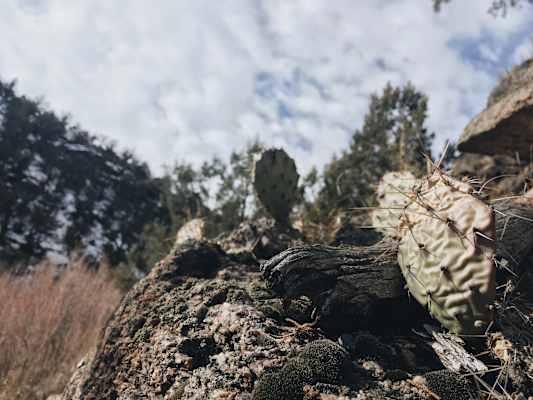 Ana Zirner Colorado River