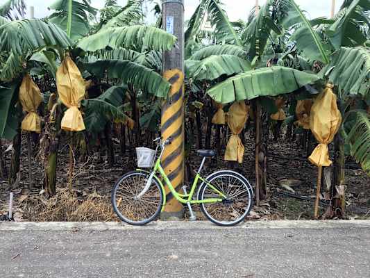 Foto-Galerie: Reise Taiwan